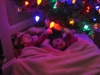 mm_web_082