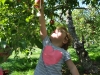 mayson_web_168