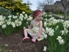 mayson_web_224